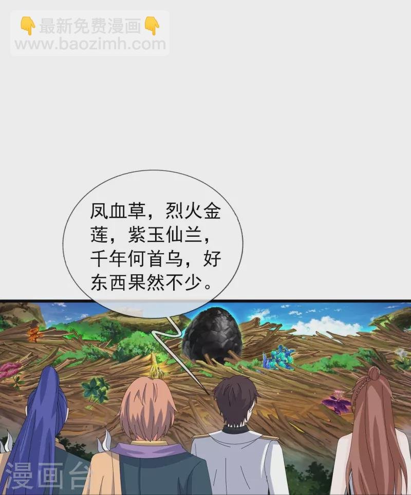 第381话 凤凰血脉