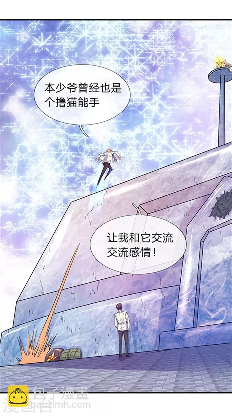 第78话 撸猫能手