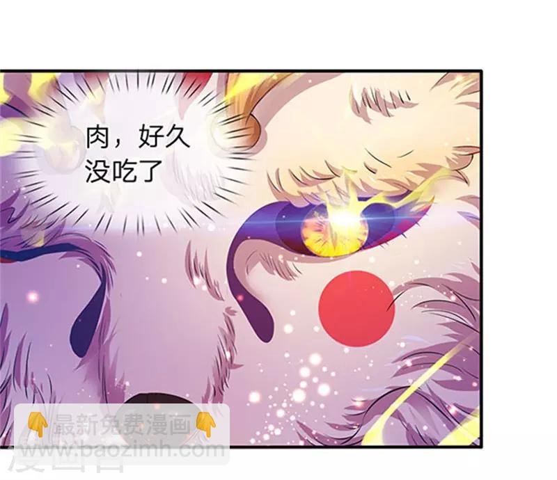第78话 撸猫能手