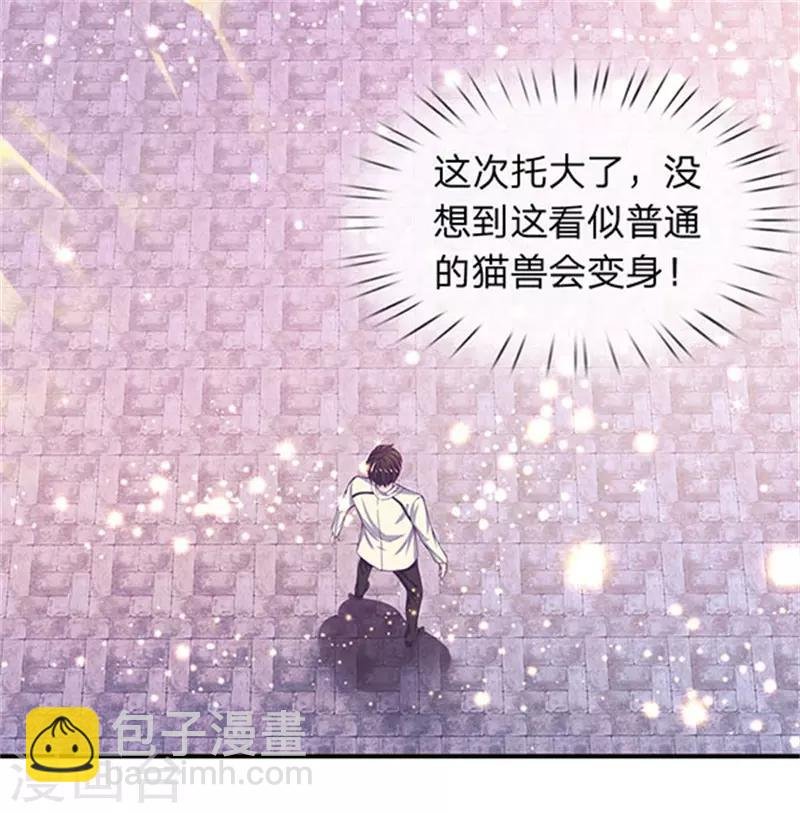 第78话 撸猫能手