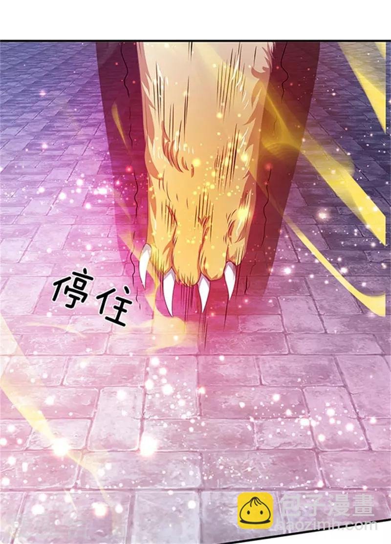第78话 撸猫能手