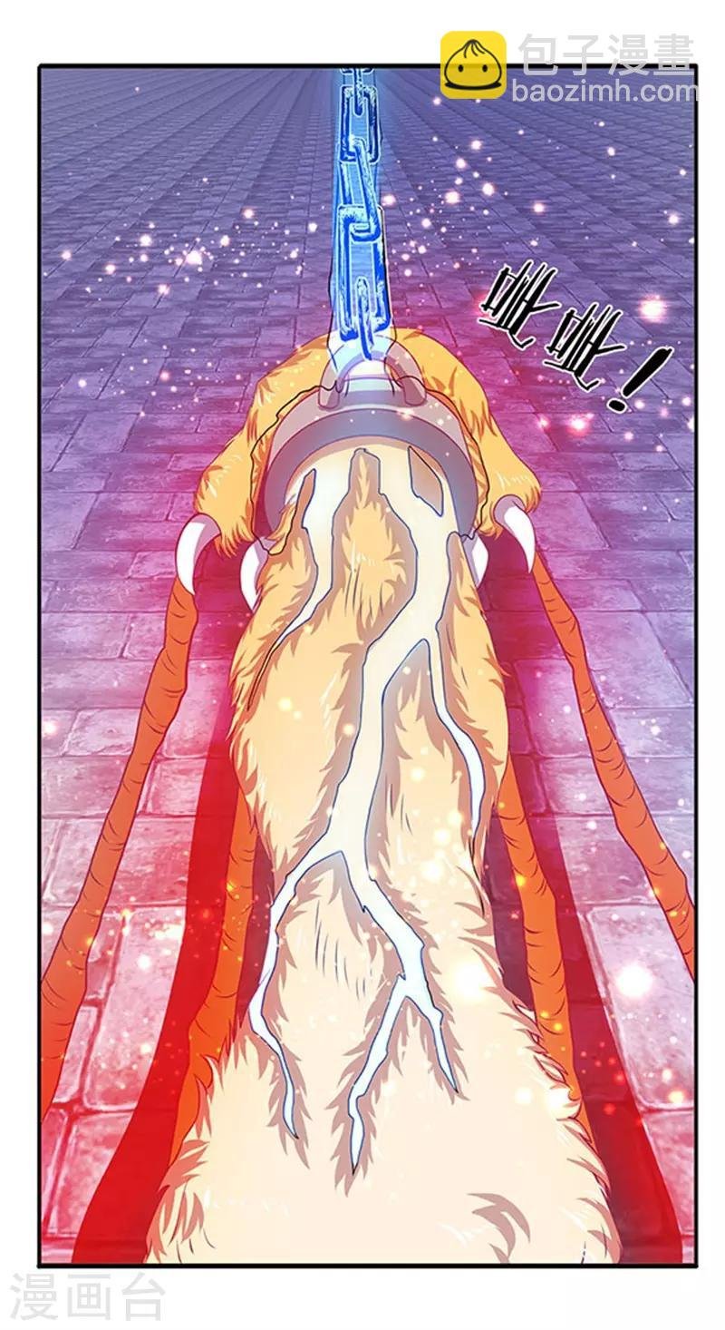 第78话 撸猫能手