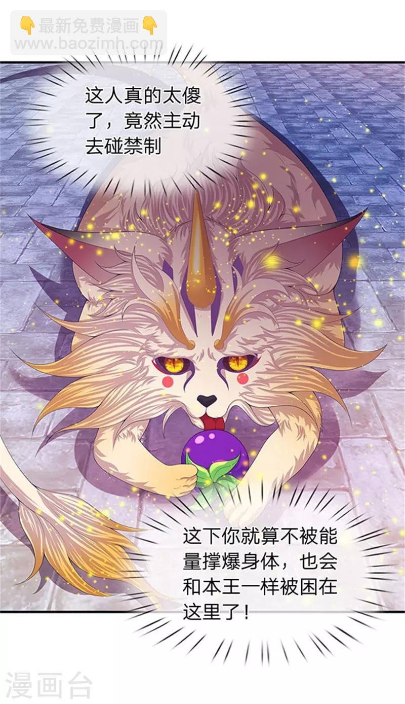第80话 破开禁制