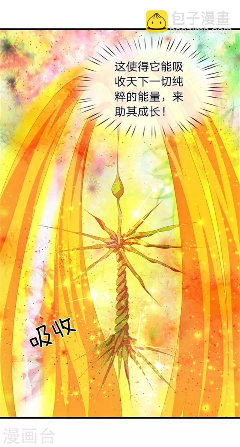 第80话 破开禁制