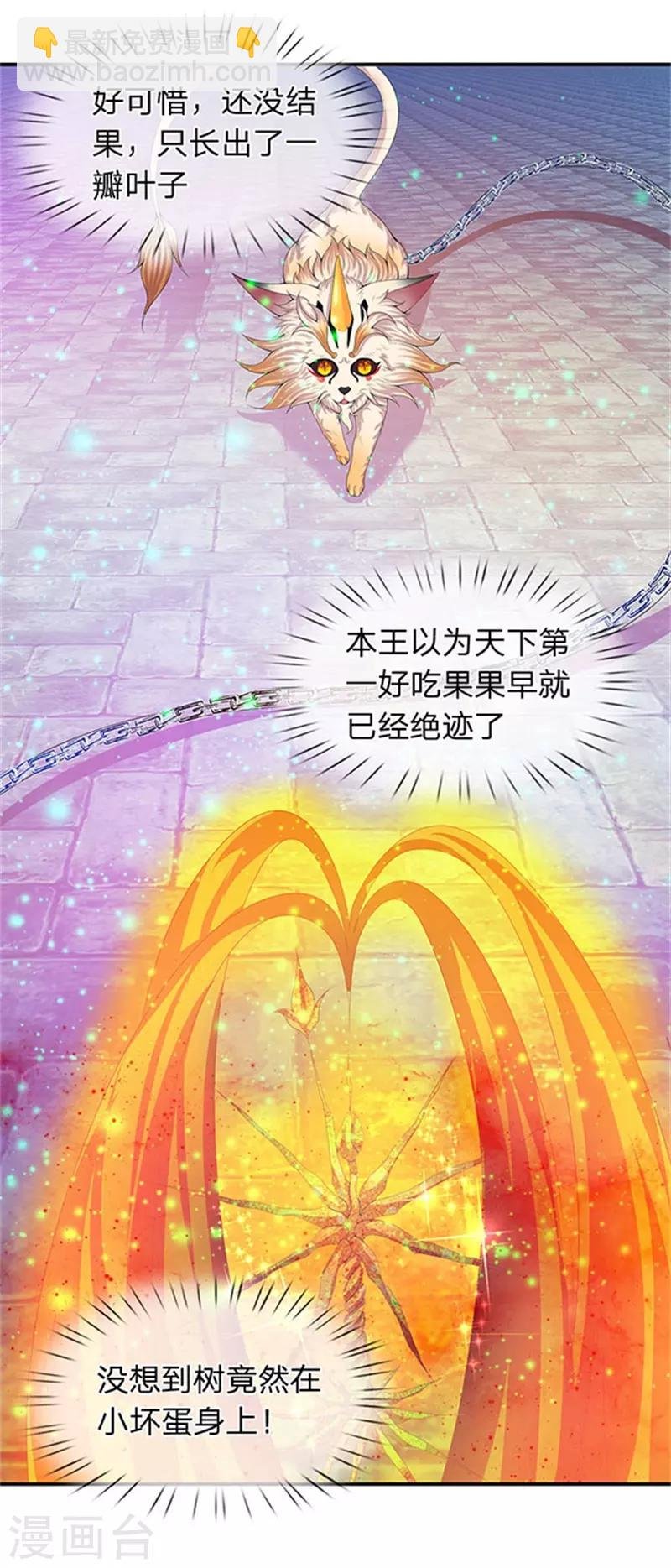 第80话 破开禁制