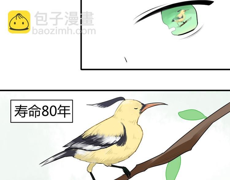 第14话 狮子宫长的过去（一）