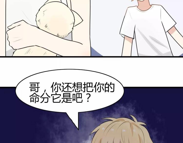 第15话 狮子宫长的过去（二）