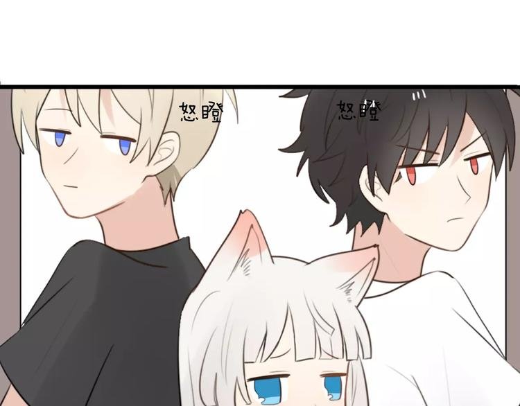 第16话 逮捕（一）