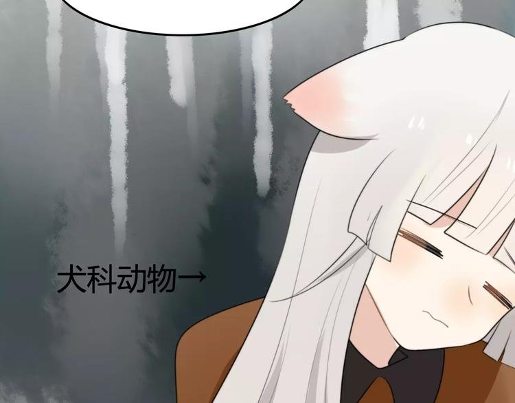 第23话 狮子弟弟（一）