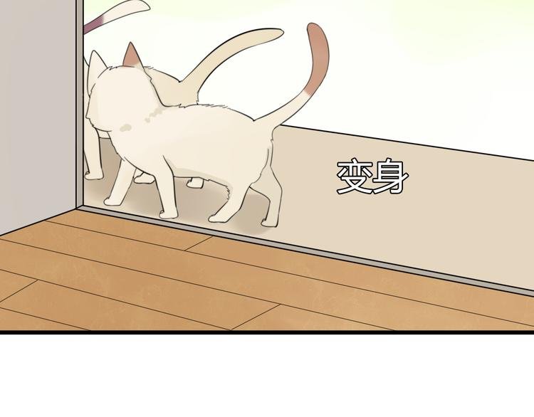 第9话 猫和老鼠事件（二）