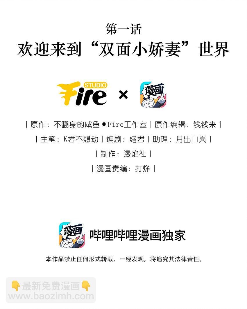 001 欢迎来到“双面小娇妻”世界