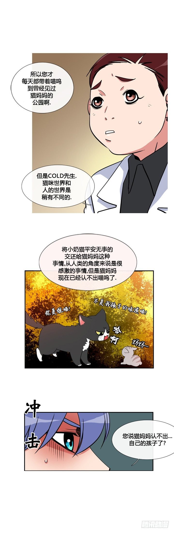 第十五章