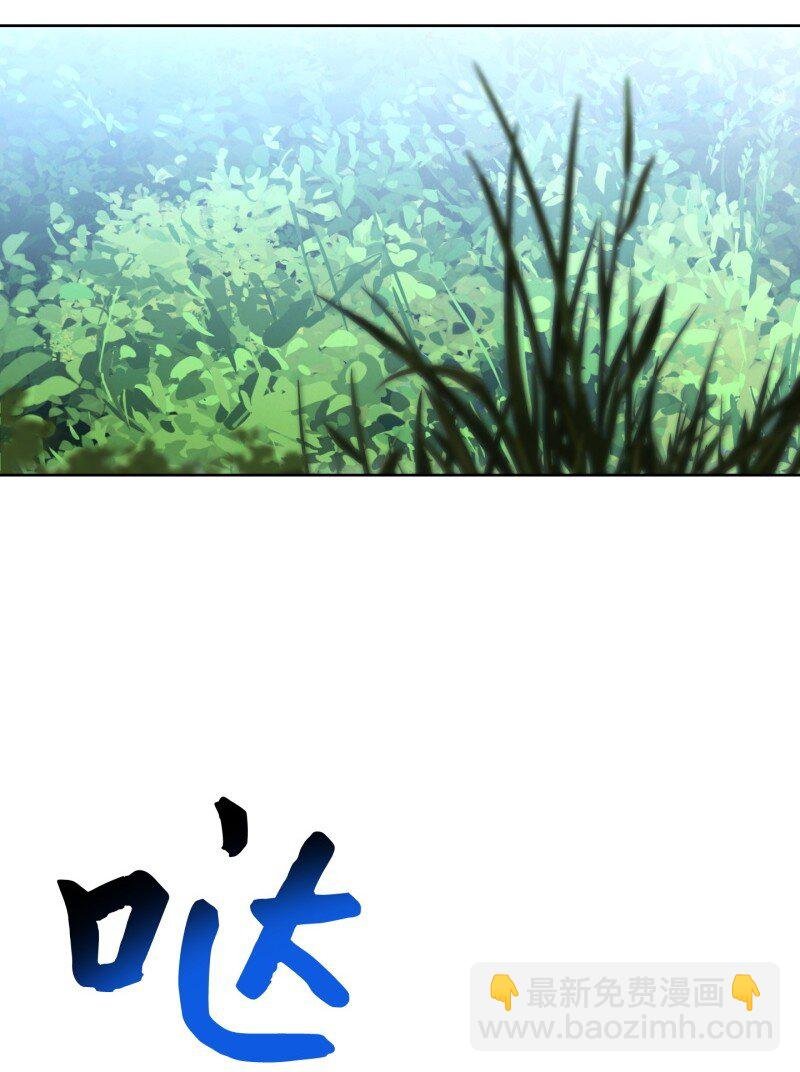 12 建议