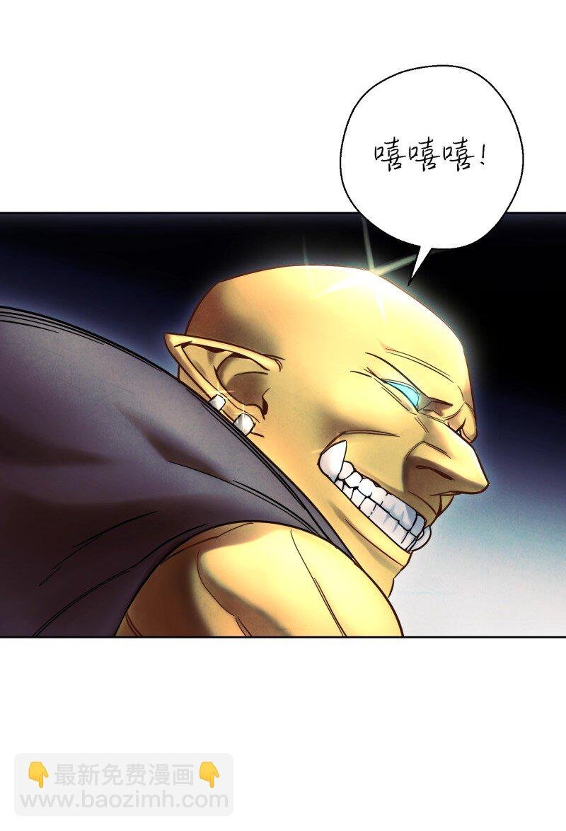 14 分裂