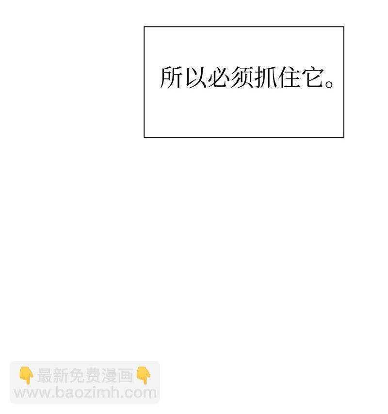 14 分裂
