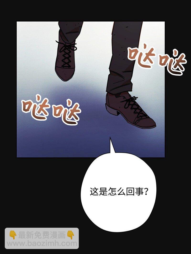 14 分裂