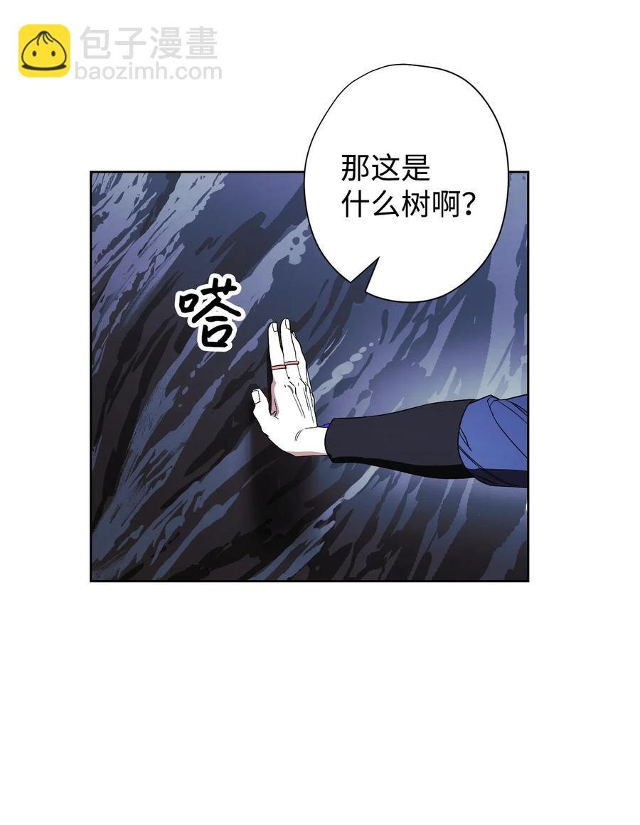 46 魔种之源