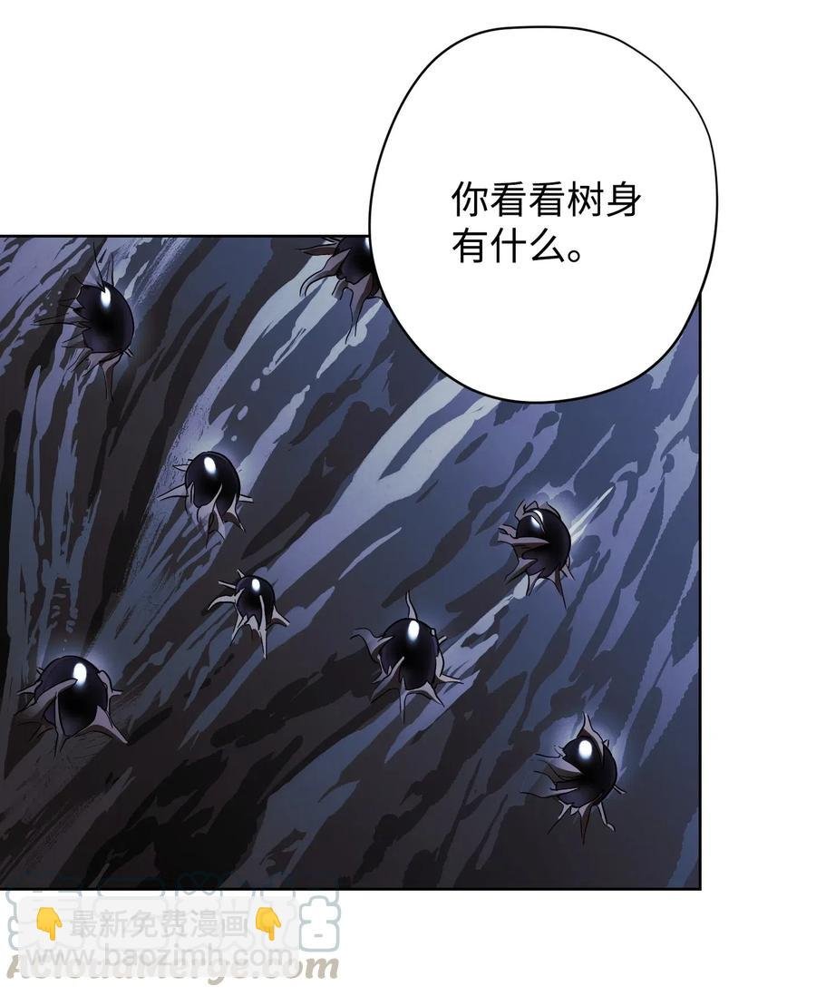 46 魔种之源