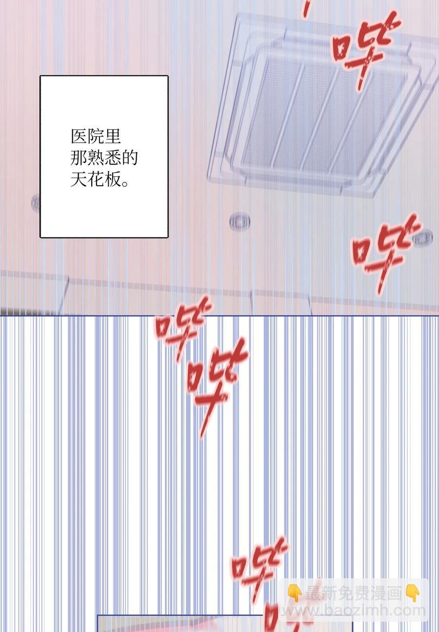 29 选择