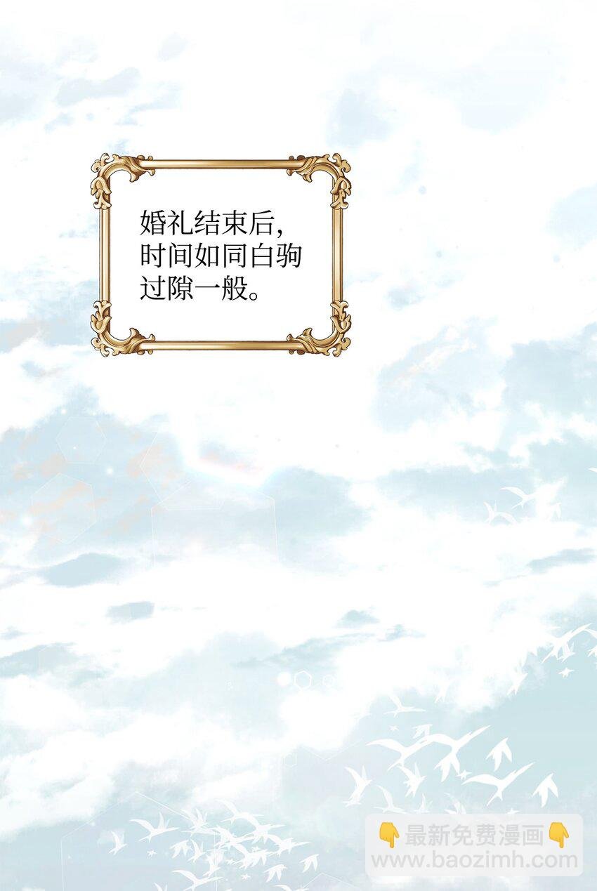 16 梦中的婚礼
