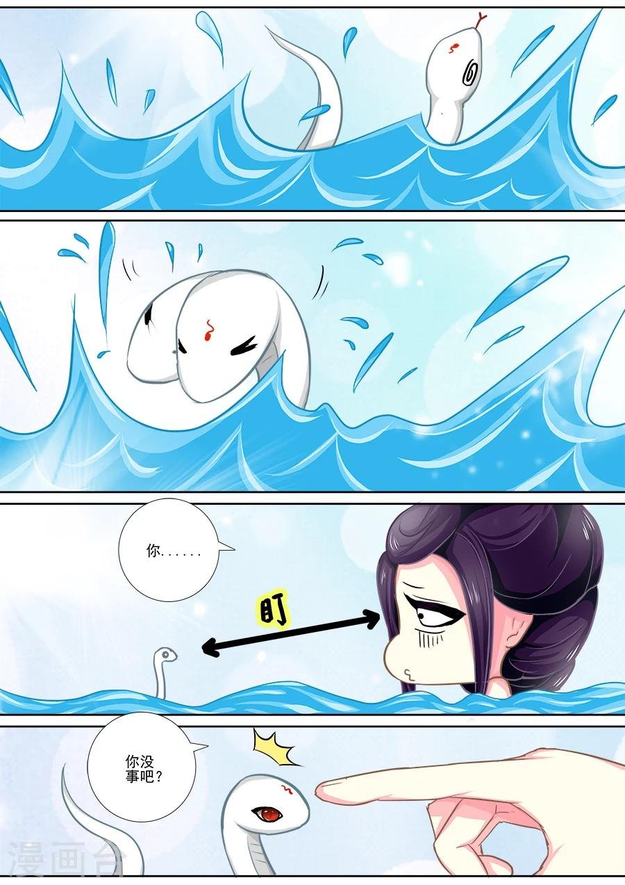 第14话 以小白之名
