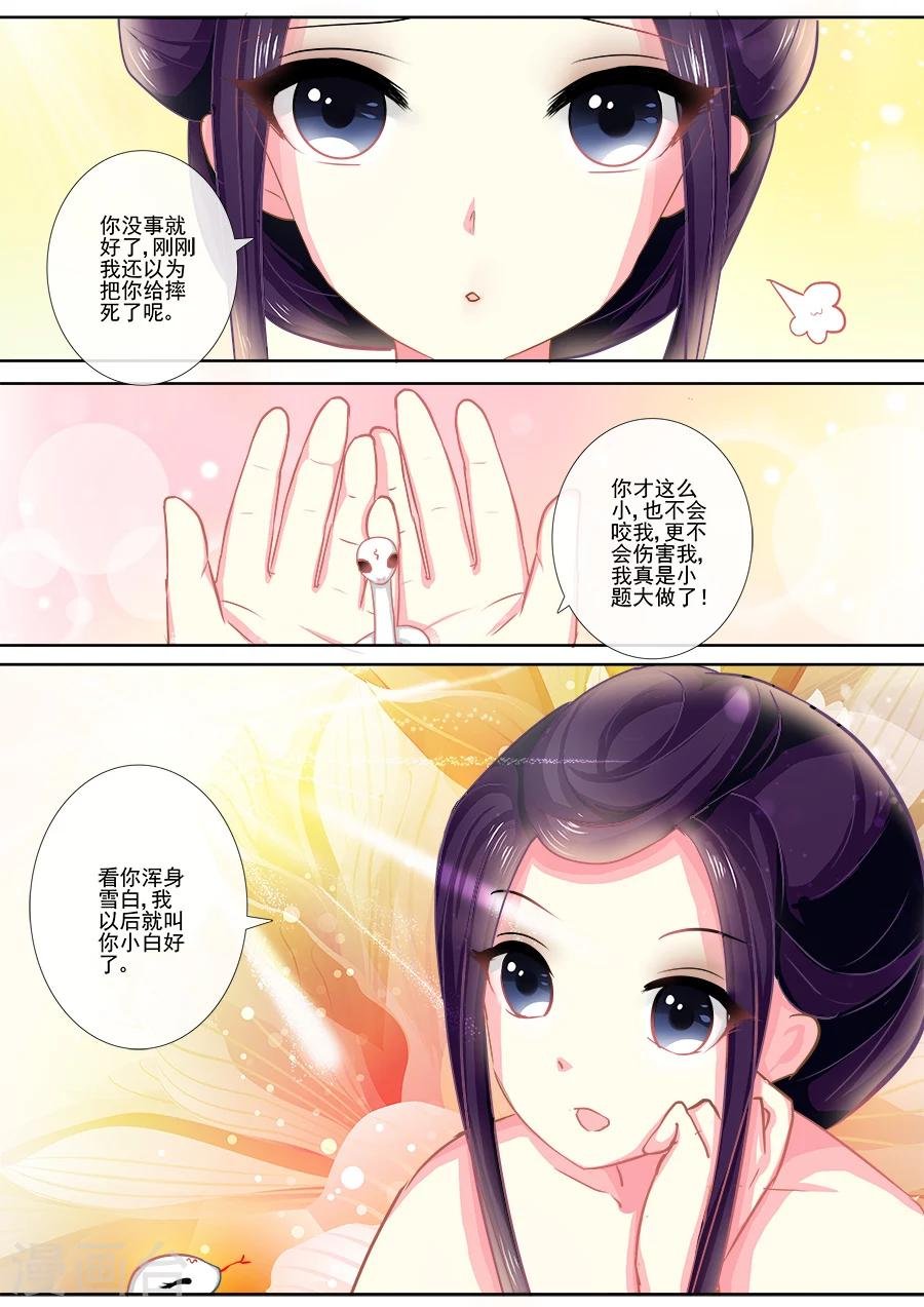第14话 以小白之名