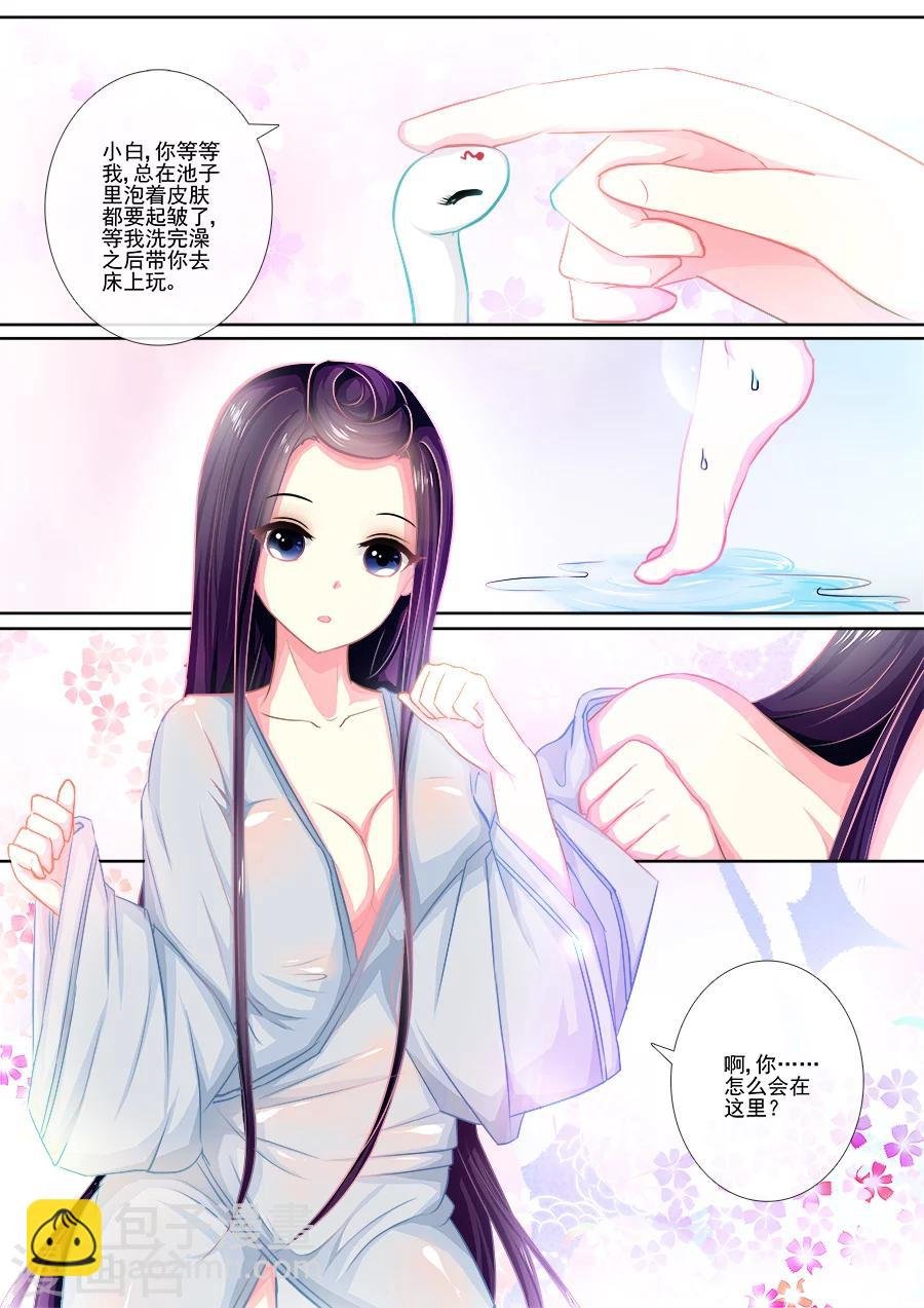 第14话 以小白之名