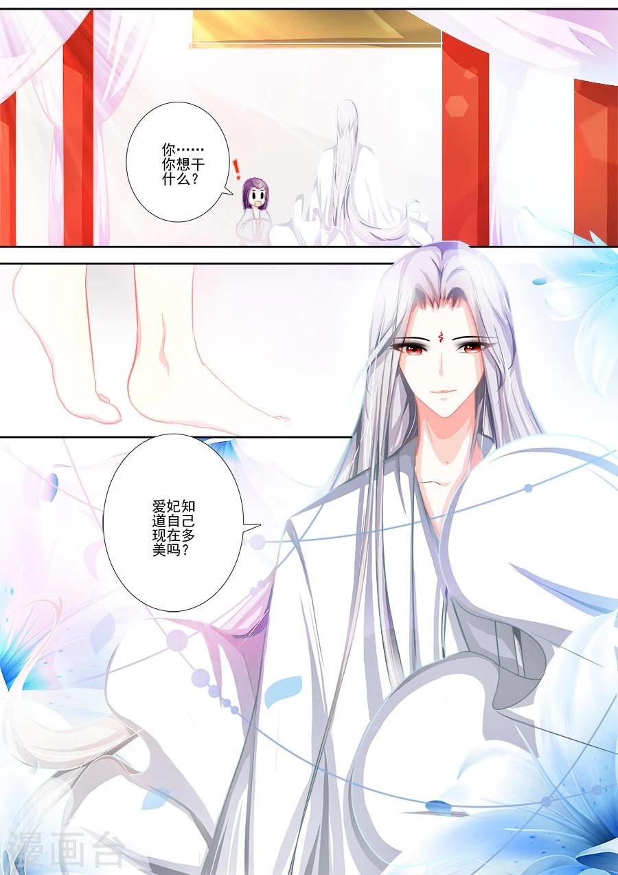 第14话 以小白之名