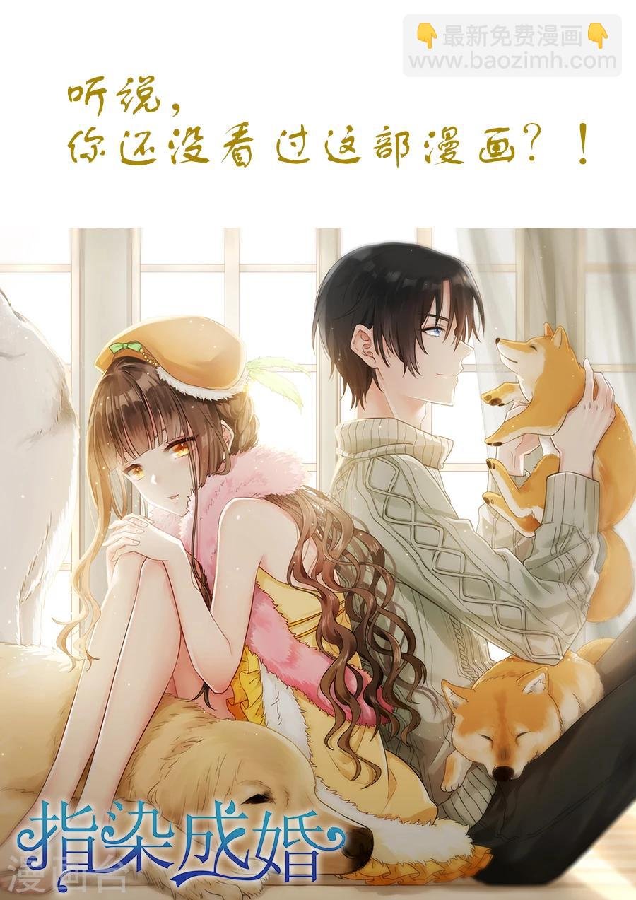 第172话 那就试试