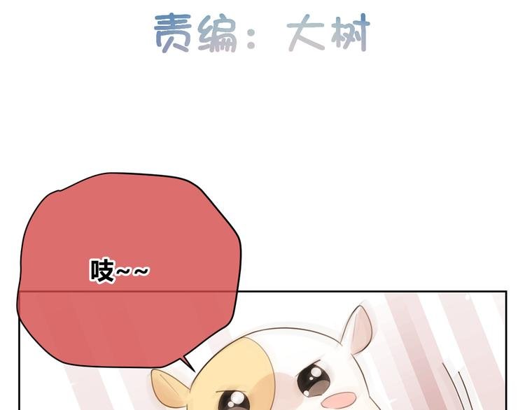第46话 仓鼠的秘密