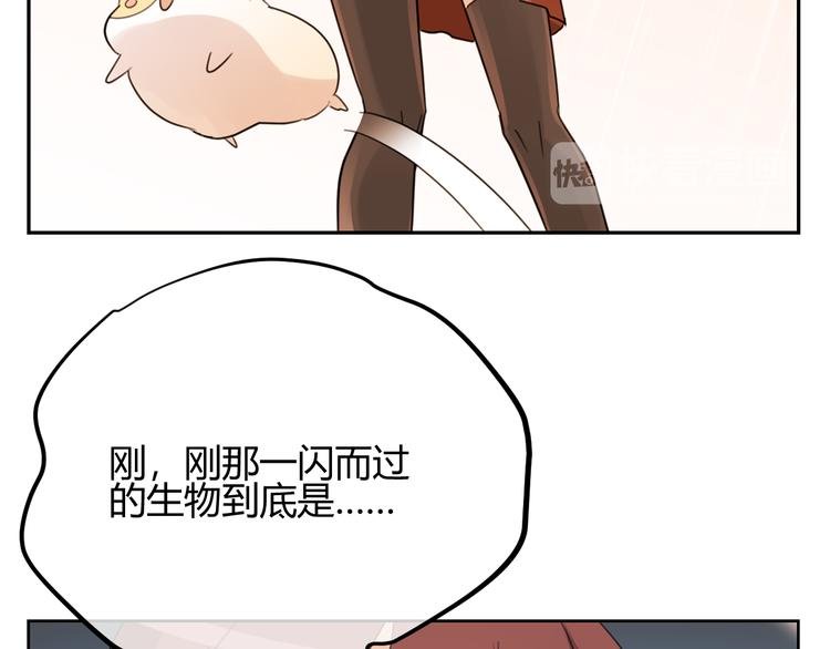 第46话 仓鼠的秘密