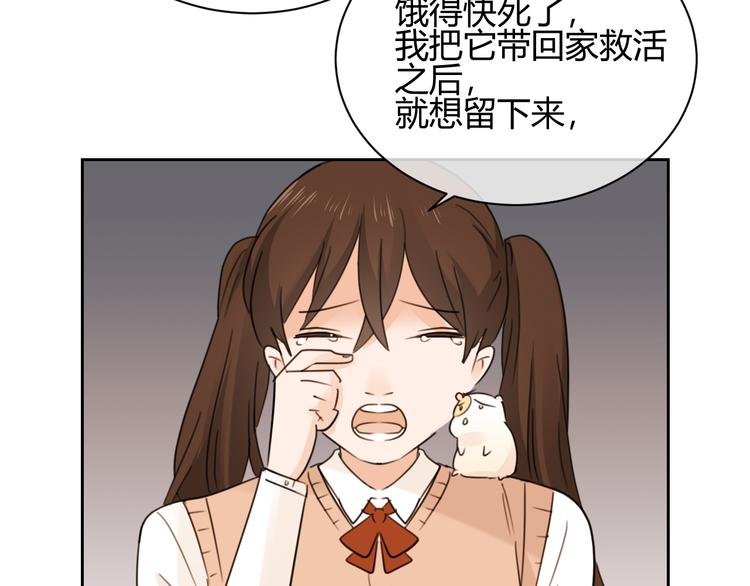 第46话 仓鼠的秘密