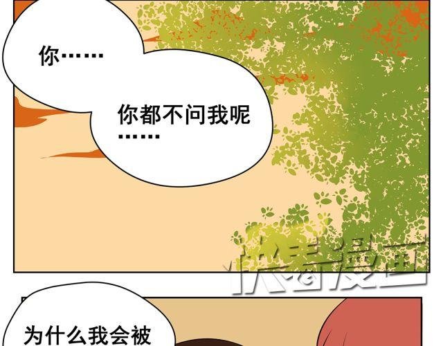 第37话 “偷窃”事件终于有了转机！