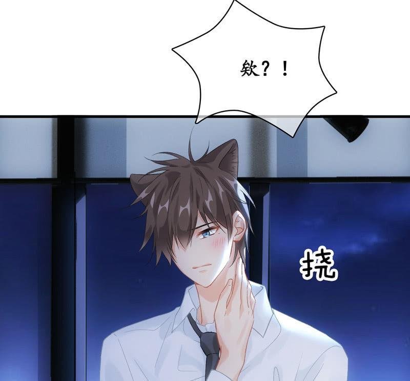 番外-猫耳！！
