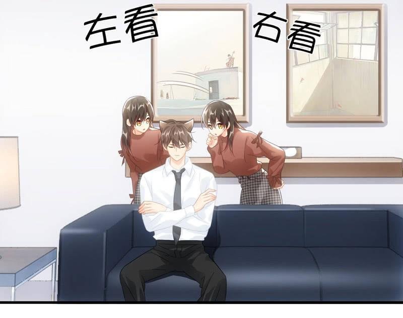 番外—猫耳2