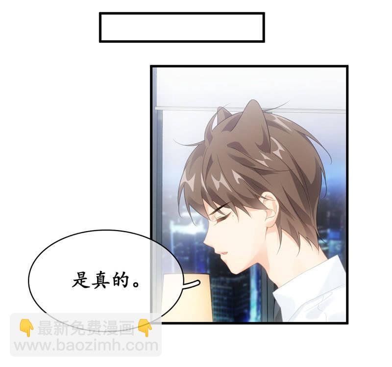 番外—猫耳2