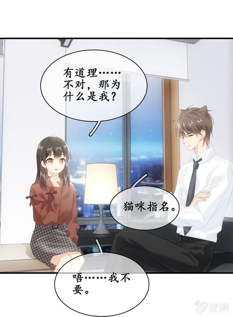 番外—猫耳2