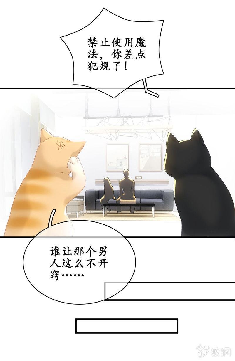 番外—猫耳2