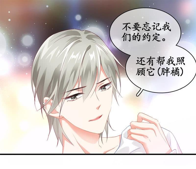 摩天轮下的约定