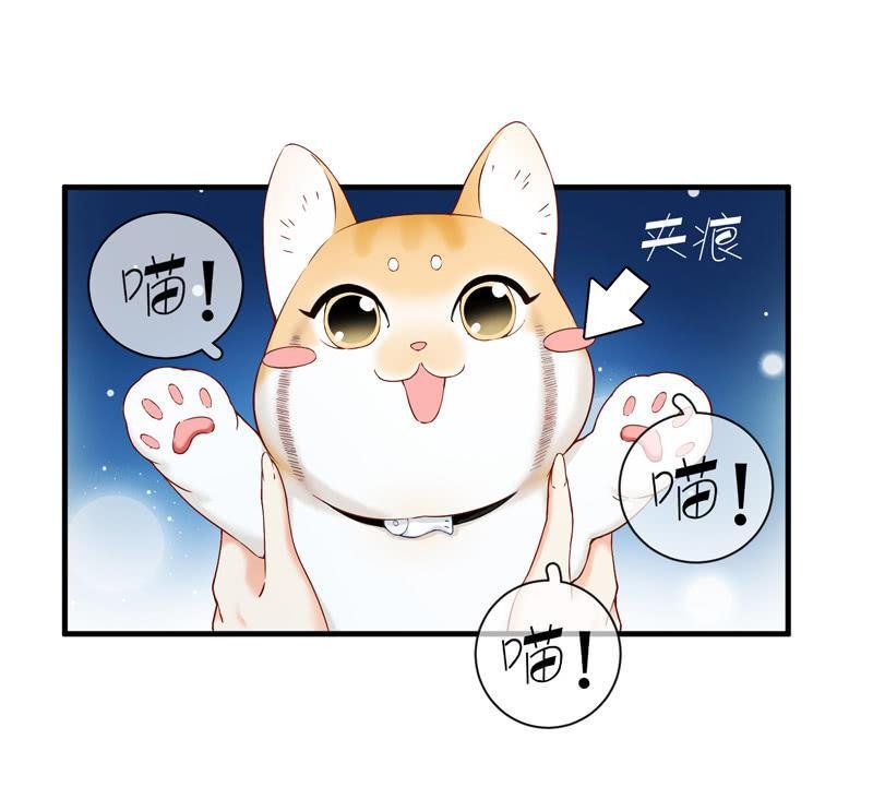 抢劫？！