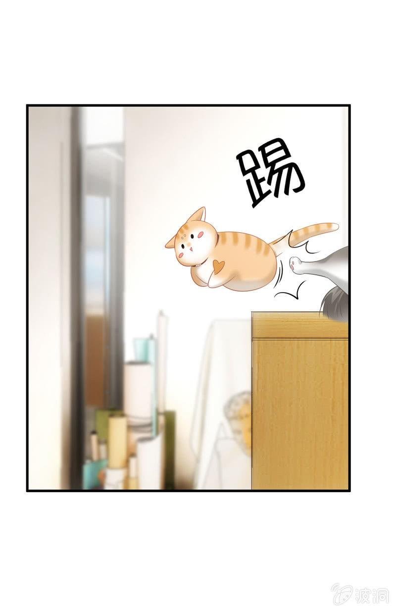 恋爱的酸臭味