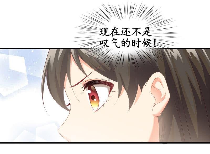 喵咪同伴出现啦~