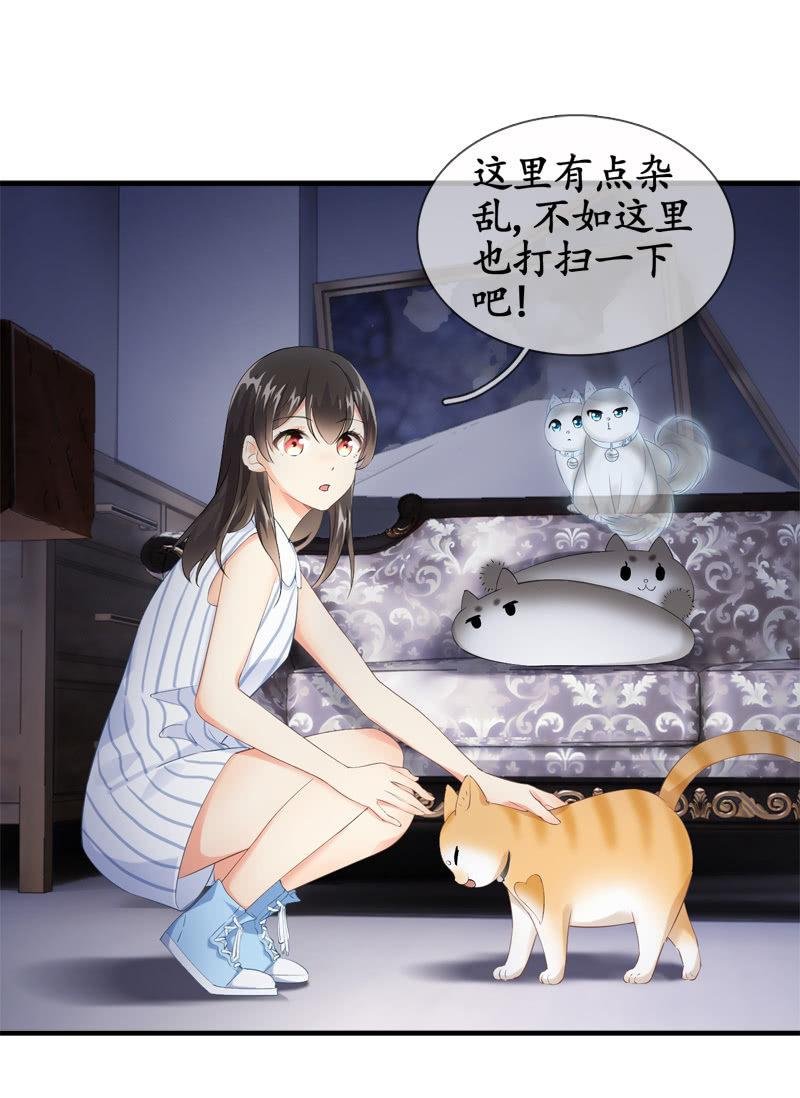 喵咪同伴出现啦~
