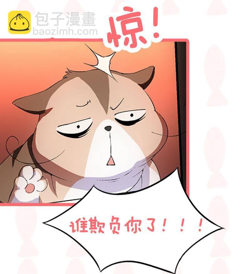 喵咪同伴出现啦~