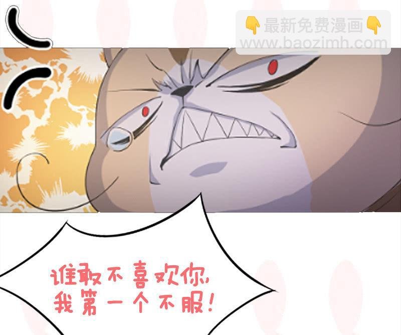 喵咪同伴出现啦~