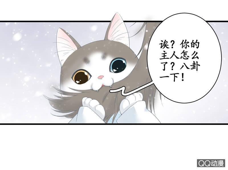 在哪里见过