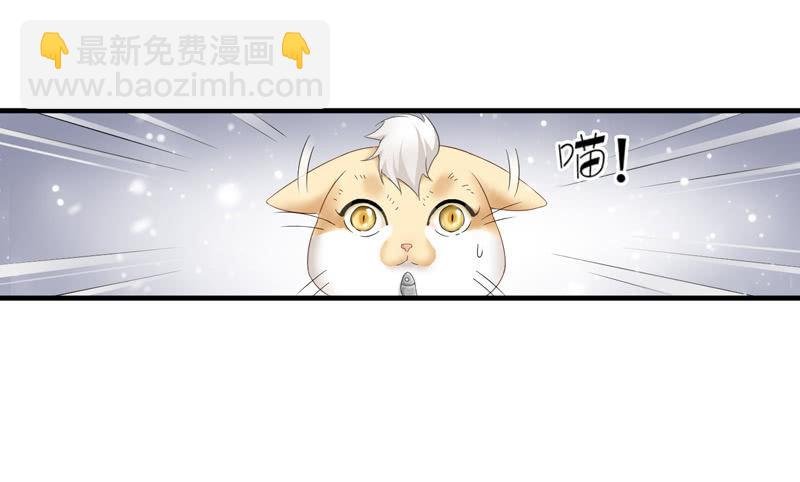在哪里见过
