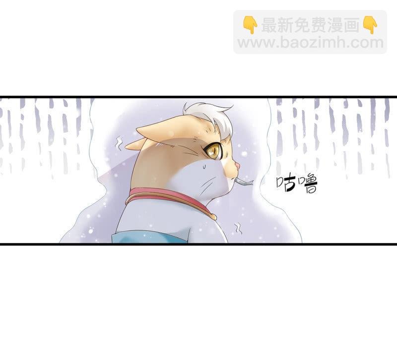 在哪里见过