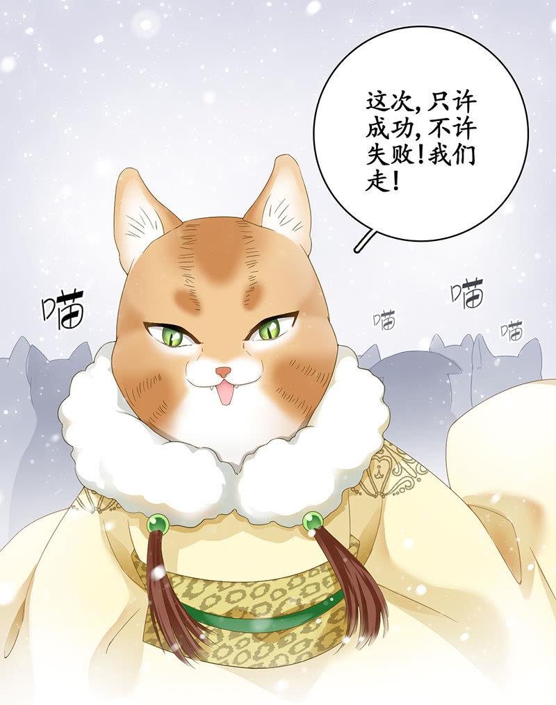 在哪里见过