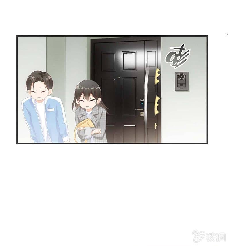 猫咪神助攻来也！！！